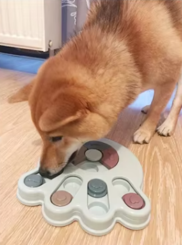 Interactive Bowl for Large Dog – Feed the Mind, Stimulate the Appetite