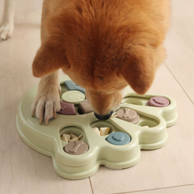 Interactive Bowl for Large Dog – Feed the Mind, Stimulate the Appetite