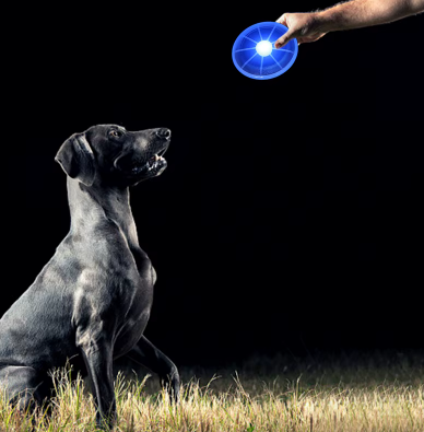 Glow-in-the-Dark Frisbee for Dogs – Play without limits, even at night