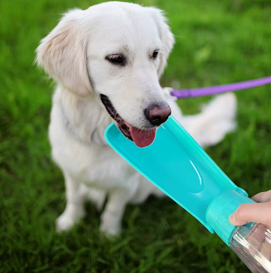 Dog Water Bottle – Easy hydration, anywhere and anytime