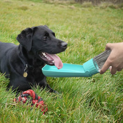 Dog Water Bottle – Easy hydration, anywhere and anytime