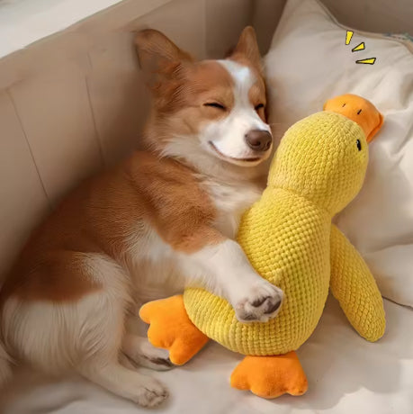 Plush Duck – An irresistible and comforting play companion