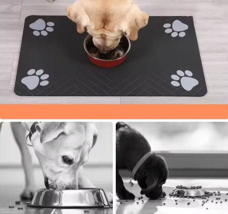 Absorbent Dog Mat – Cleanliness and hygiene every day