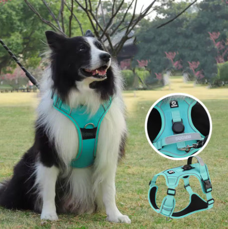 Anti-Traction Harness – Control, comfort, and safety while walking